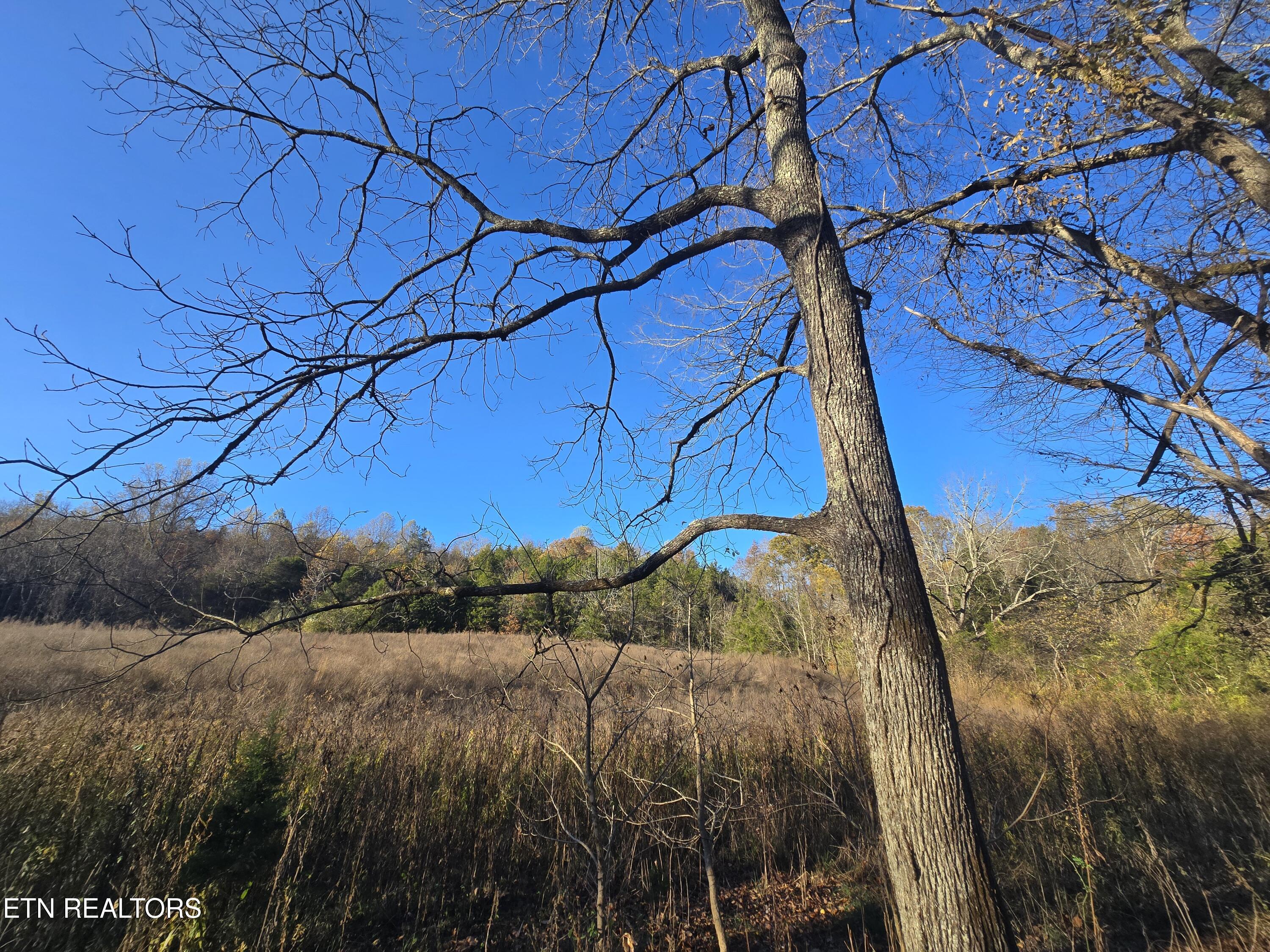 Haley Road Rose Hill, VA 24281 - Photo 9 of 26 20251103_161555