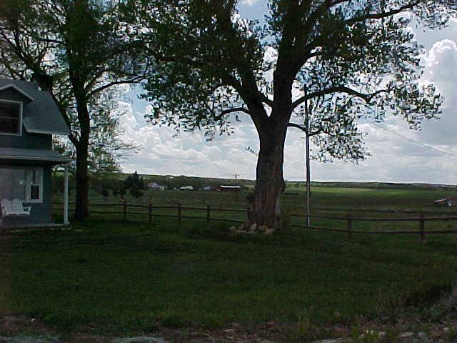 514-42 Z Road Telluride, CO 81435 - Photo 4 of 9 a view of outdoor space and yard
