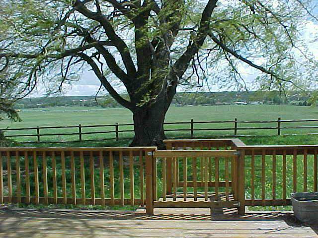 514-42 Z Road Telluride, CO 81435 - Photo 6 of 9 a view of a green field
