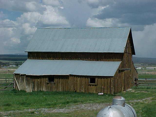 514-42 Z Road Telluride, CO 81435 - Photo 8 of 9 a backyard of a house with lots of green space