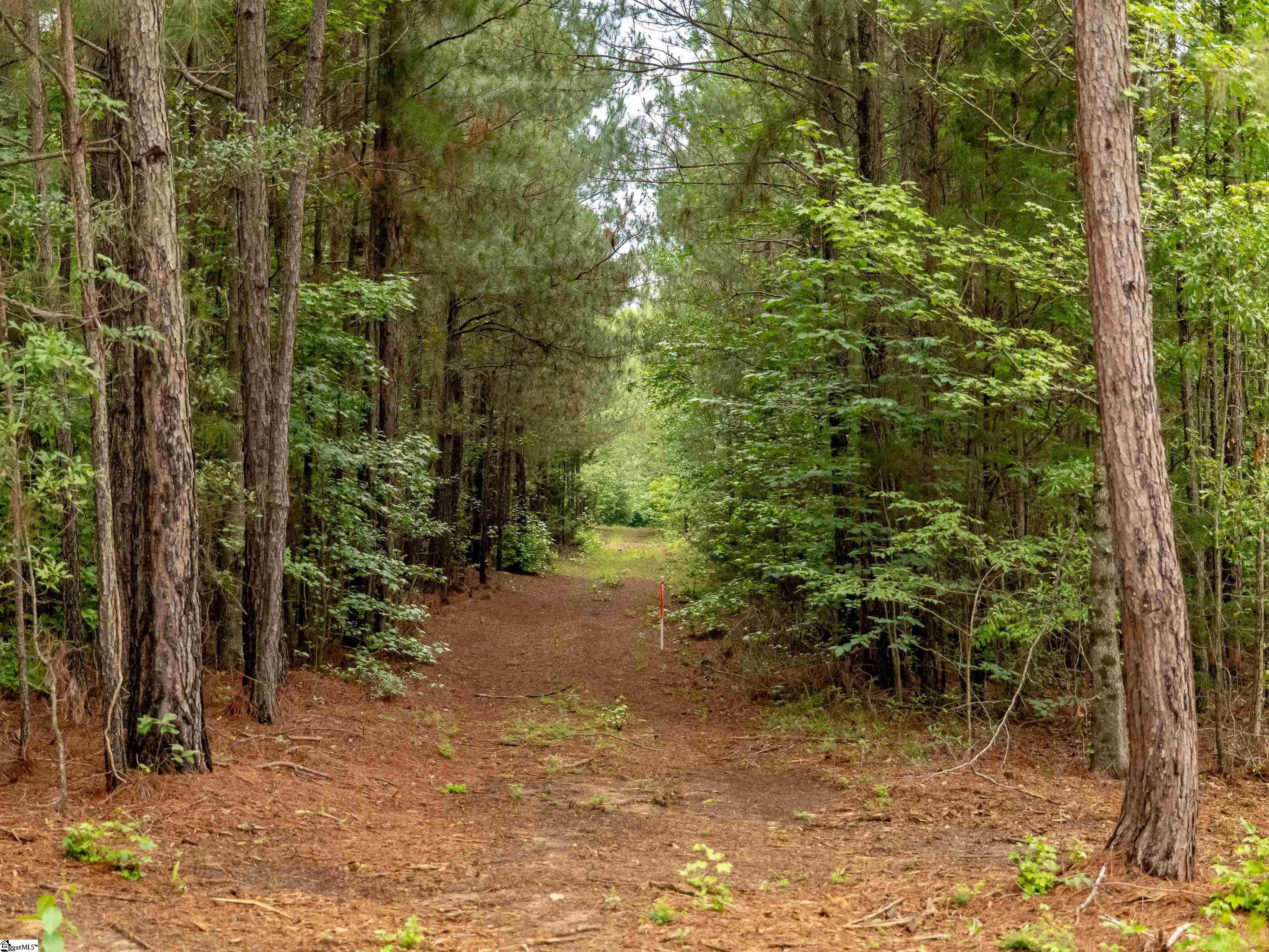 0 Terry Road, Unit LOT 2 Fountain Inn, SC 29644 - Photo 14 of 27 Gallery Image 14