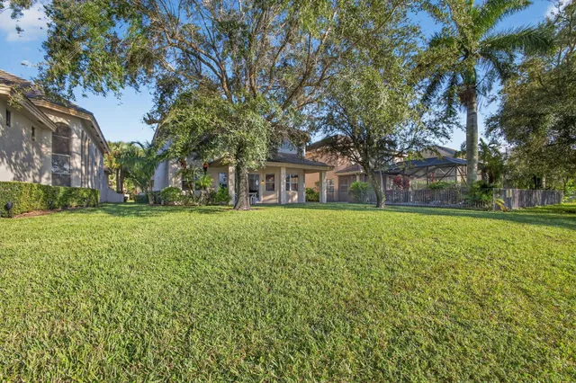 a view of a palm trees