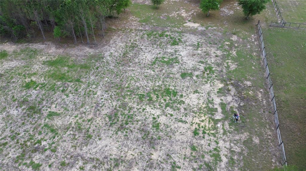 16865 Southeast 27th Place Road Ocklawaha, FL 32179 - Photo 4 of 12 a view of a yard with a tree