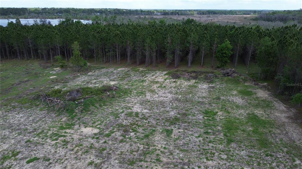 16865 Southeast 27th Place Road Ocklawaha, FL 32179 - Photo 5 of 12 a backyard of a house with lots of green space
