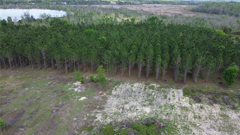 16865 Southeast 27th Place Road Ocklawaha, FL 32179 - Photo 7 of 12 a view of a lake with a yard