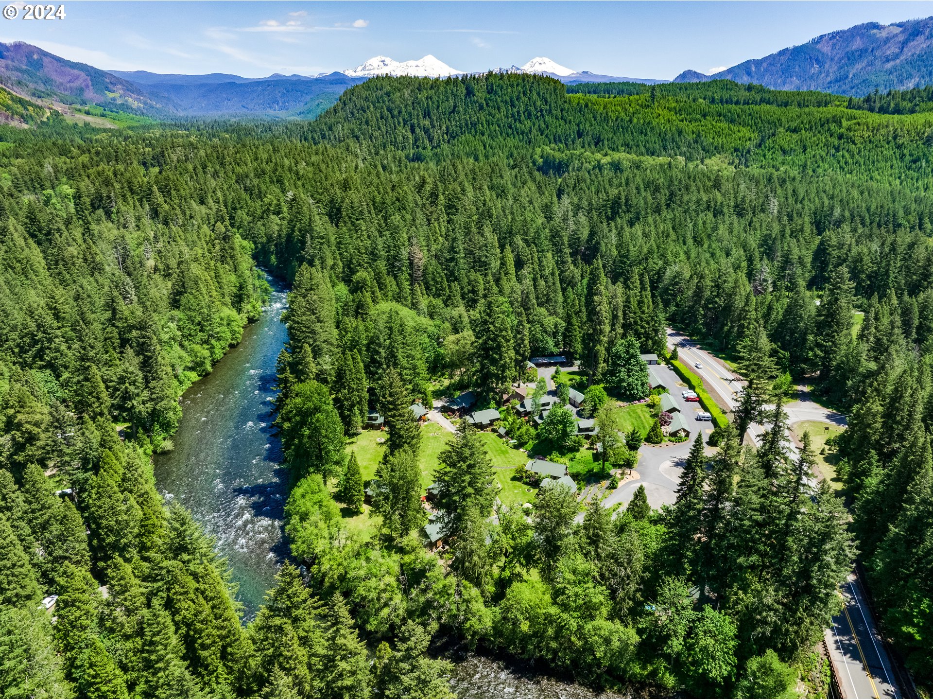 56483 McKenzie Highway Blue River, OR 97413 - Photo 34 of 38 a view of a lush green forest with trees in the background