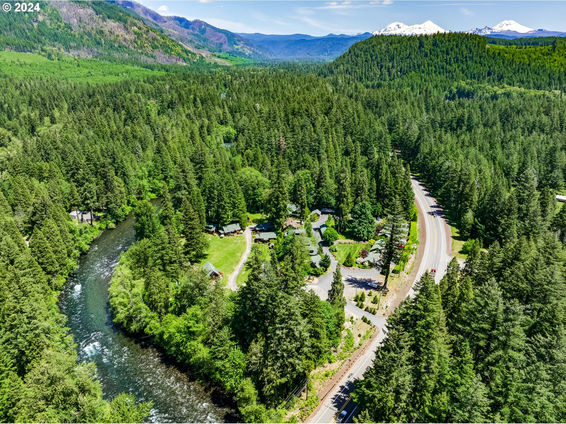 56483 McKenzie Highway Blue River, OR 97413 - Photo 35 of 38 a view of a lush green forest with lots of trees