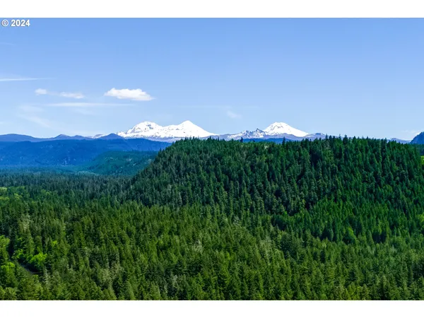 $530,000 | 56483 McKenzie Highway, Blue River, OR 97413
