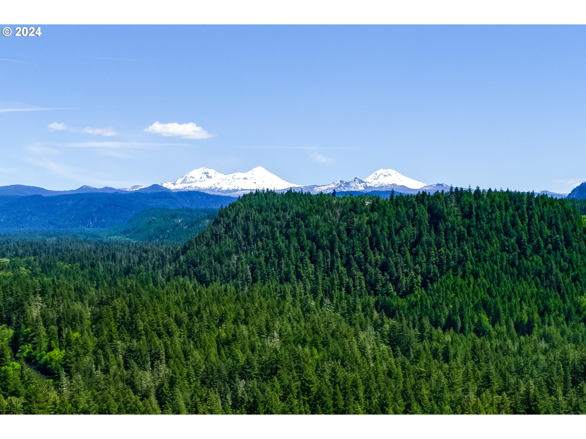 56483 McKenzie Highway Blue River, OR 97413 - Photo 36 of 38 a view of a bunch of trees