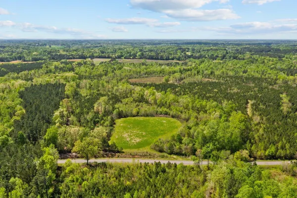 a view of lake and green space