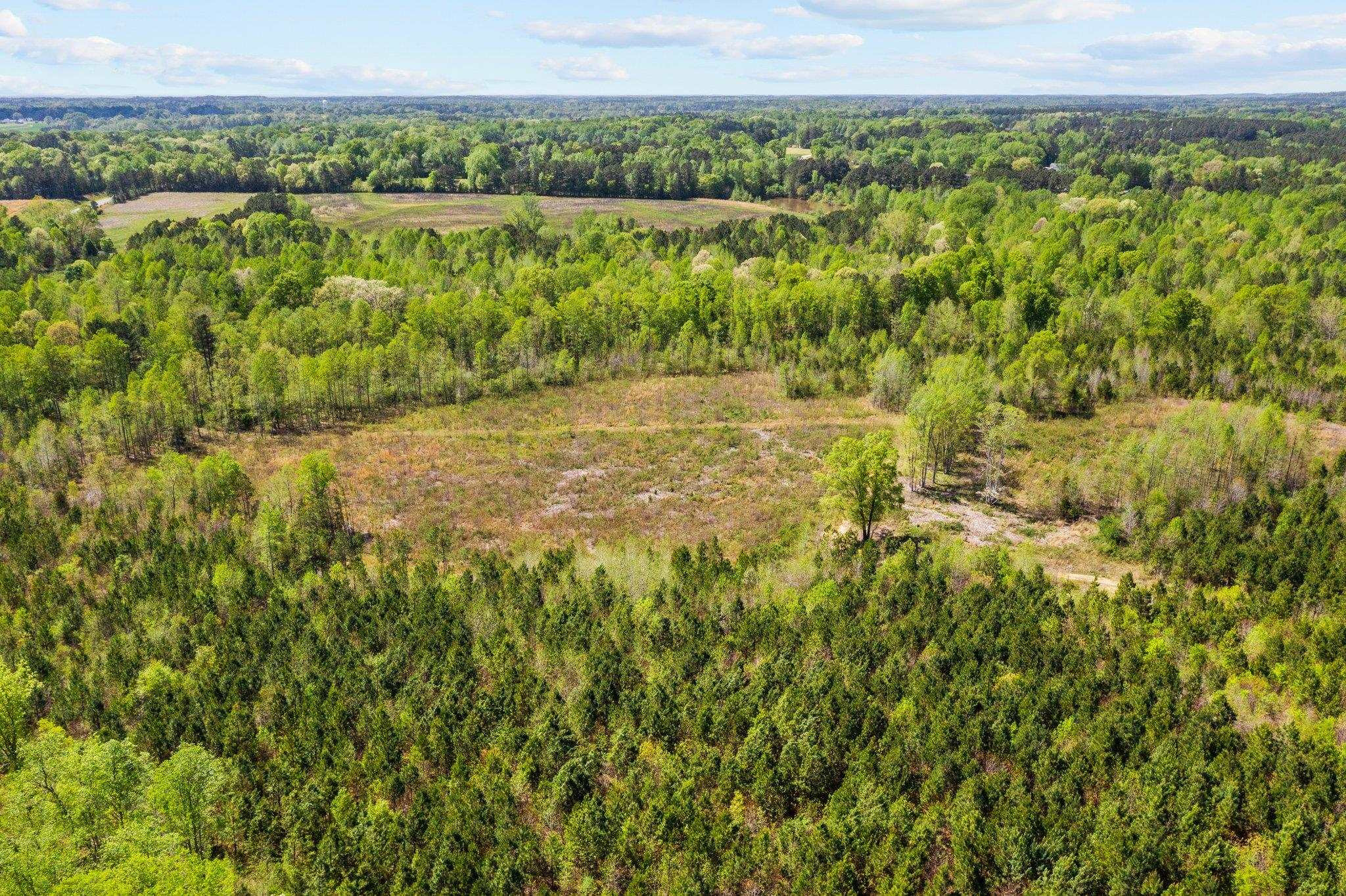 0 Salem Road Oxford, NC 27565 - Photo 18 of 42 a view of lake with green field