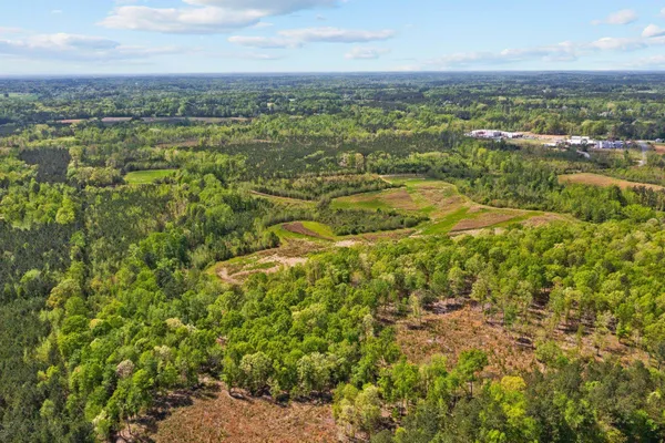 a view of city and green space