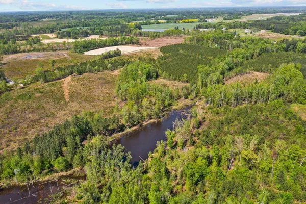 an aerial view of forest