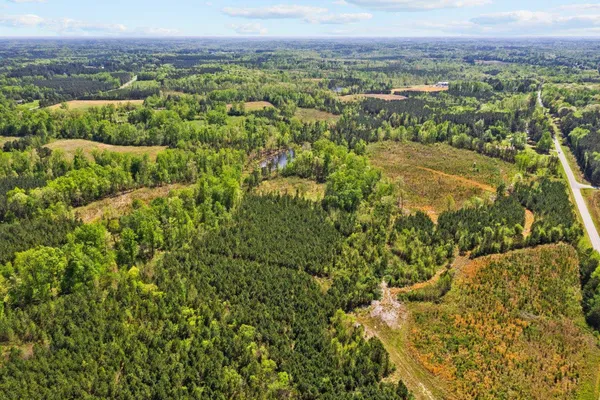a view of a city with lush green forest
