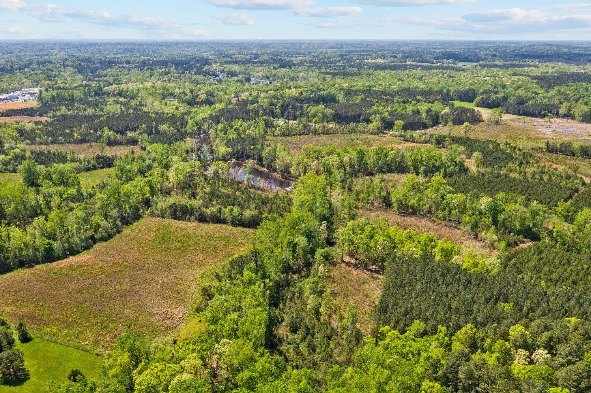 0 Salem Road Oxford, NC 27565 - Photo 36 of 42 a view of a city with lush green forest
