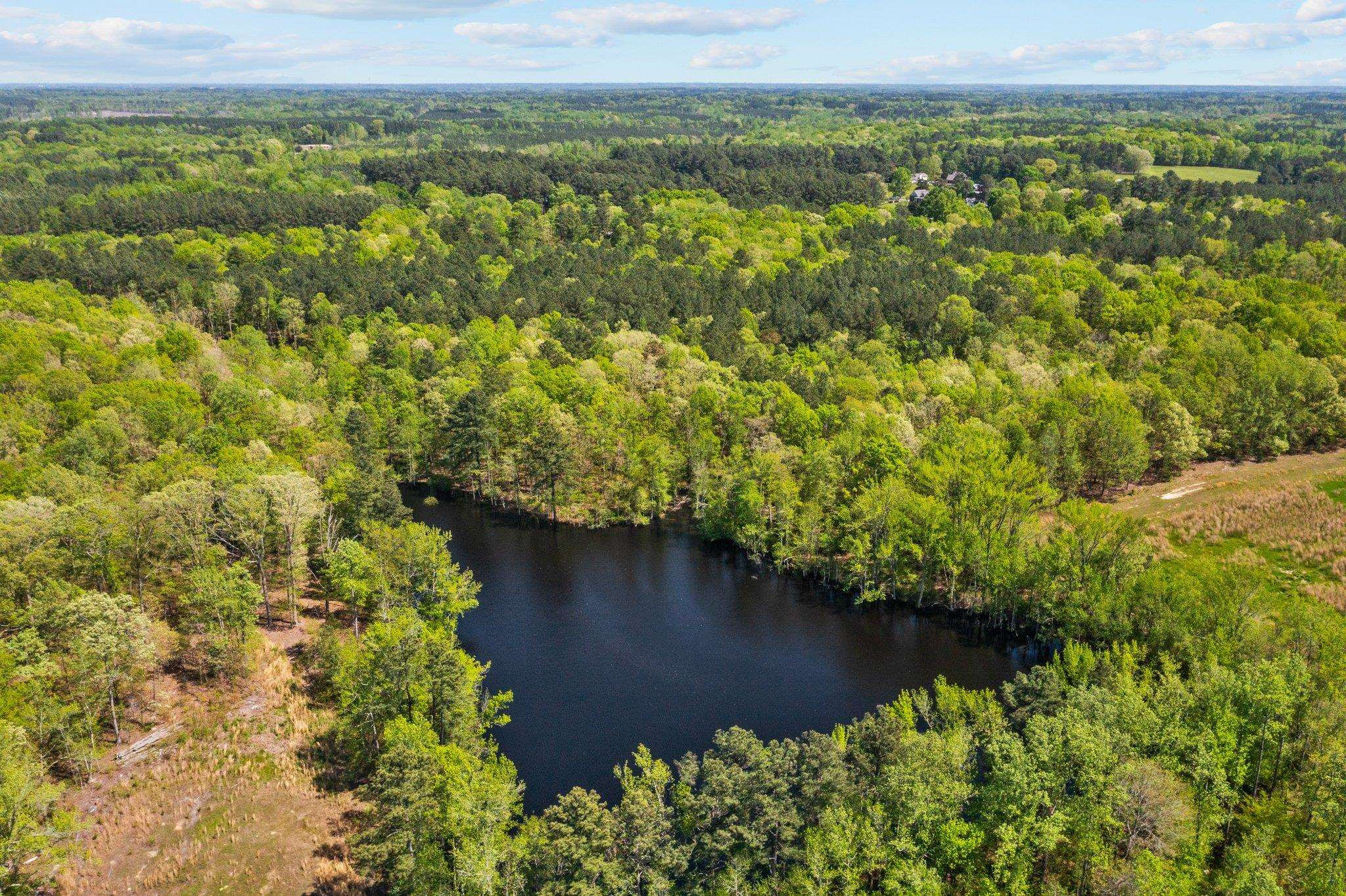 0 Salem Road Oxford, NC 27565 - Photo 10 of 42 a view of a lake with a mountain
