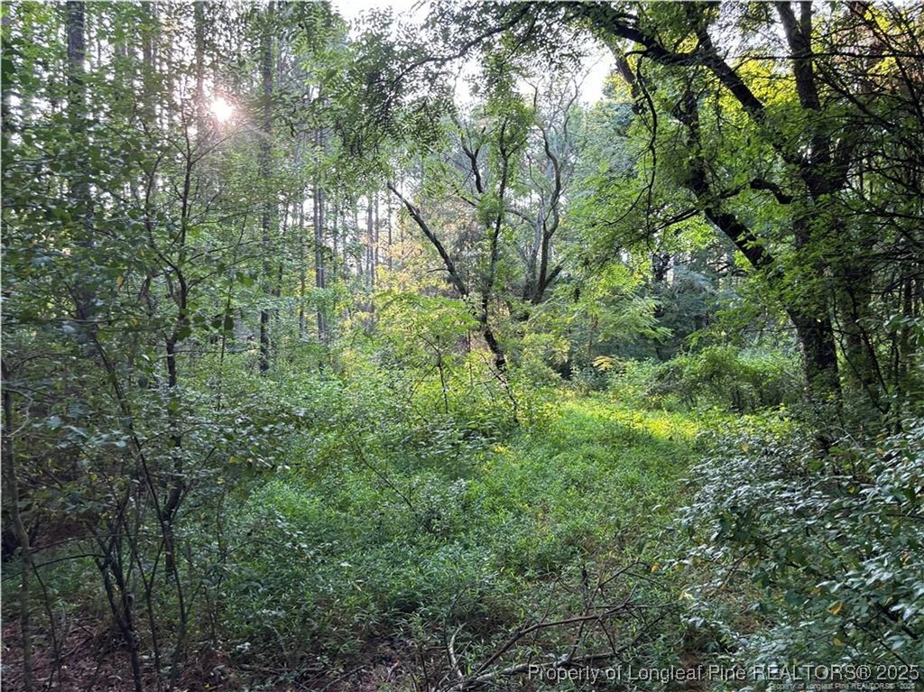 Christian Chapel Church Road New Hill, NC 27562 - Photo 2 of 7