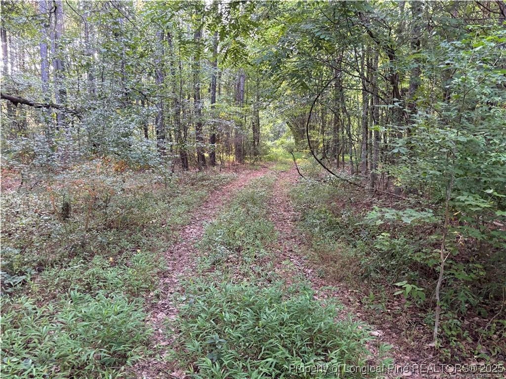 Christian Chapel Church Road New Hill, NC 27562 - Photo 4 of 7