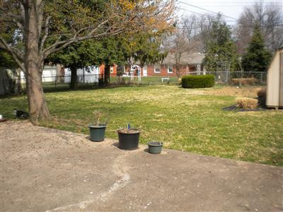 641 Springridge Drive Lexington, KY 40503 - Photo 13 of 17 Photo 13
