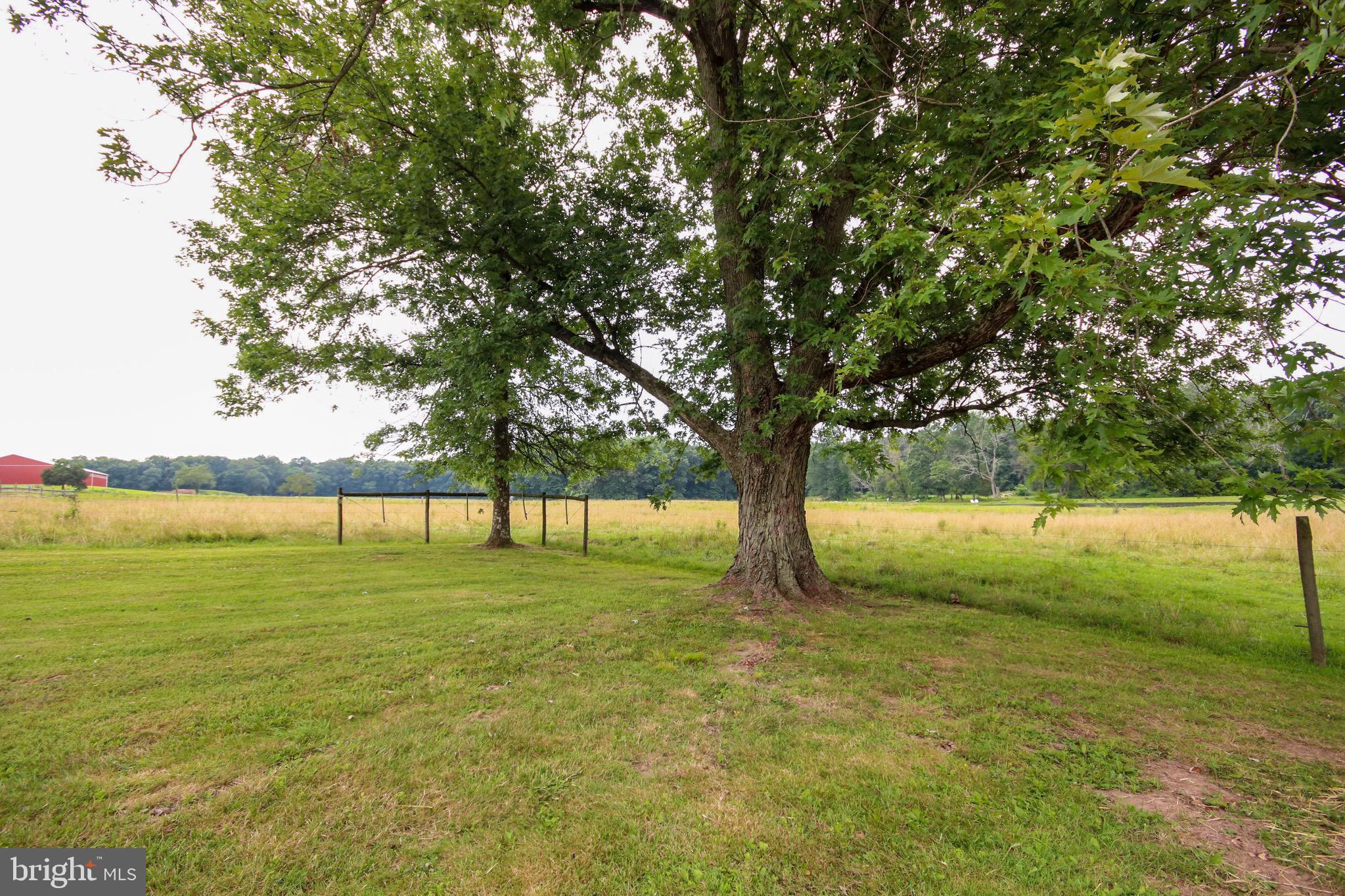 892 Deer Run Road Ottsville, PA 18942 - Photo 3 of 29