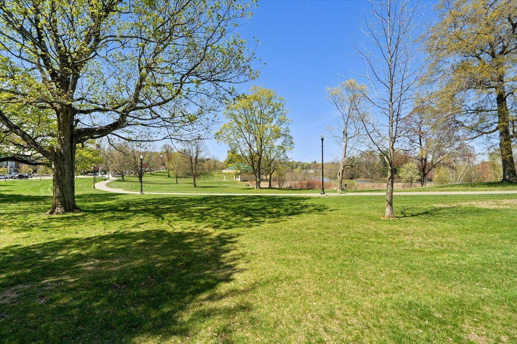 80 Salisbury Street, Unit 101 Worcester, MA 01609 - Photo 3 of 27