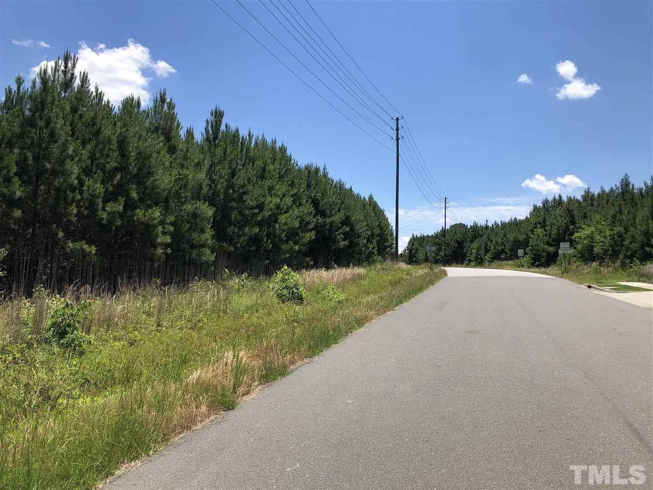 0 Mt Zion Church Road Apex, NC 27502 - Photo 2 of 3