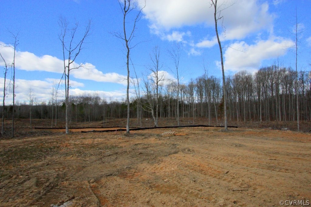 905 Clayton Road Powhatan, VA 23139 - Photo 29 of 32 Cleared area around the home