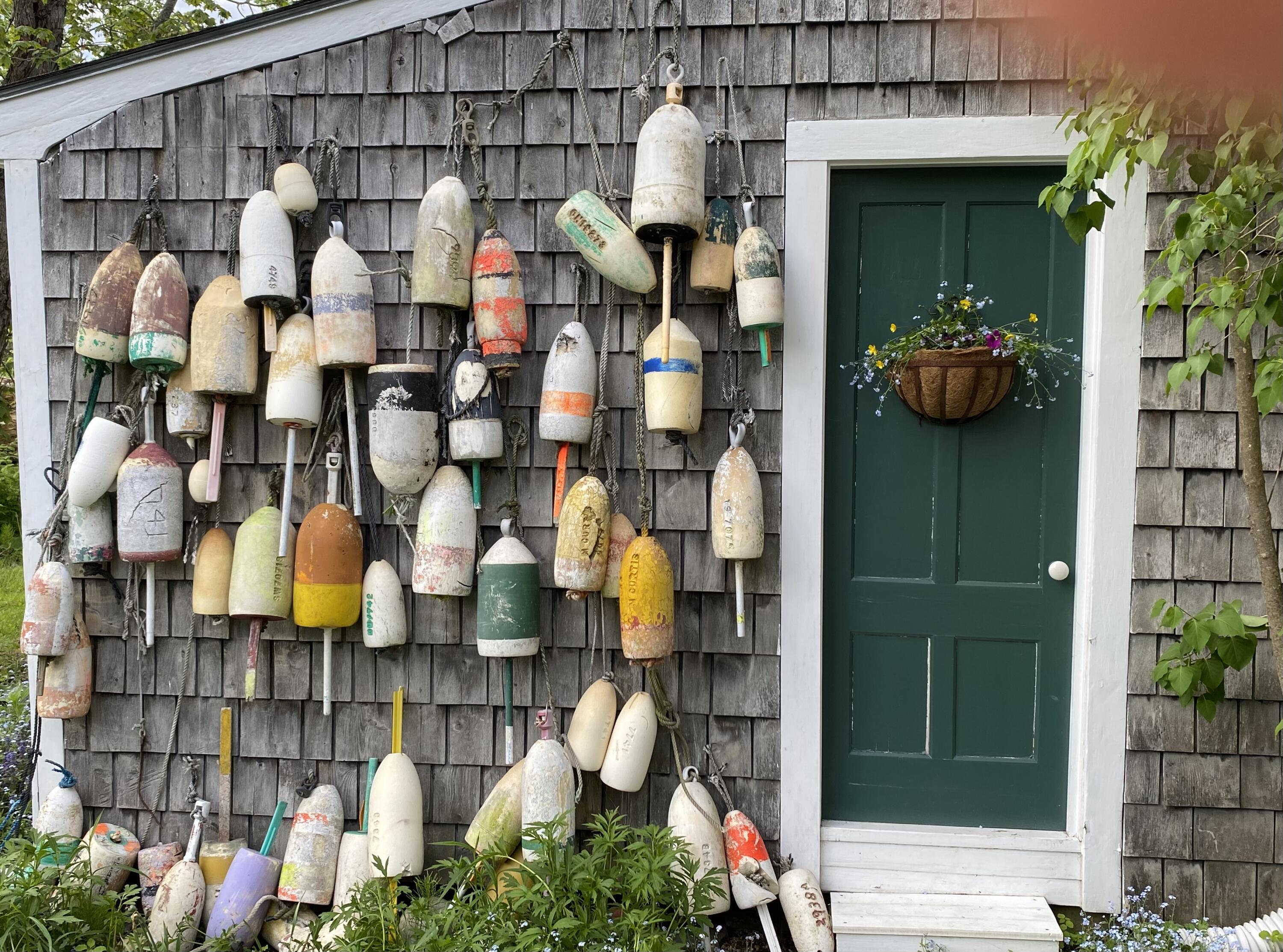 12 Old Rte 1 Searsport, ME 04974 - Photo 43 of 44 IMG_0081