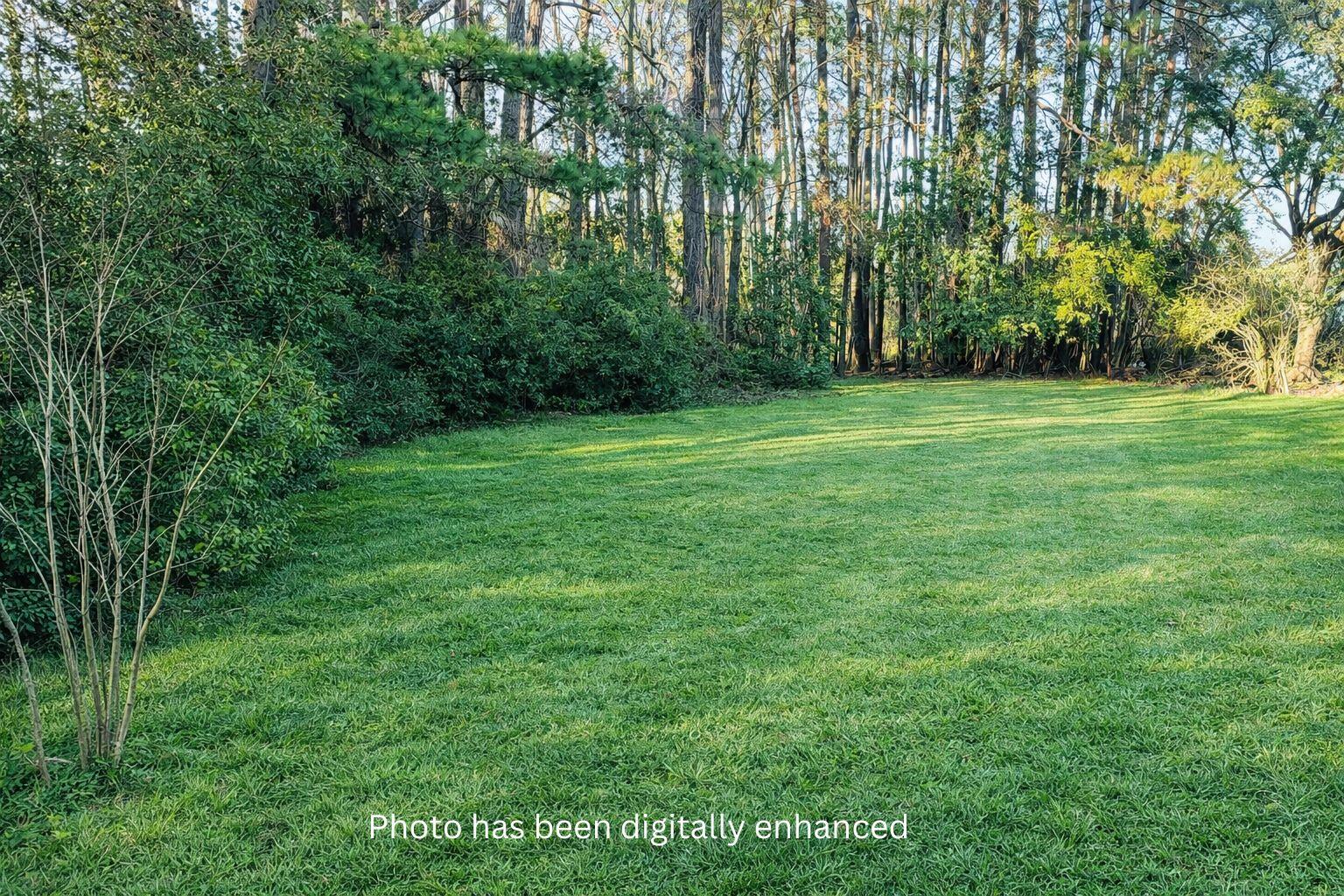 Your paragraph text (12)