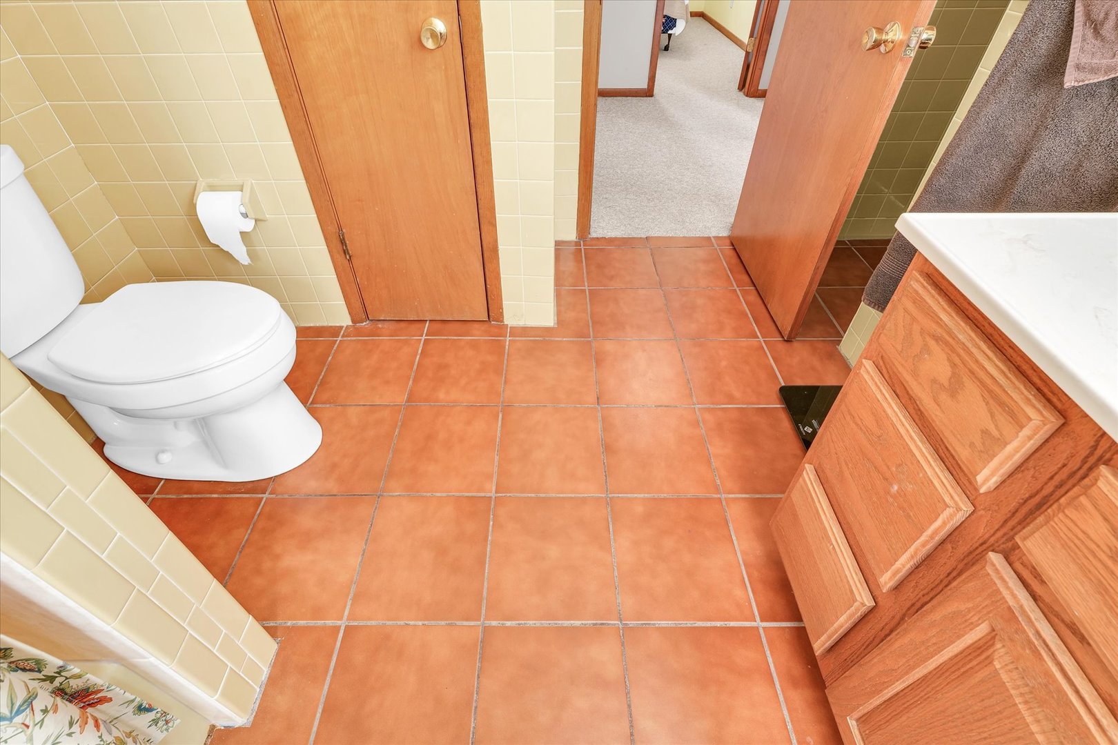 586 Hazelcrest Place Rantoul, IL 61866 - Photo 24 of 47 a bathroom with a sink and a vanity