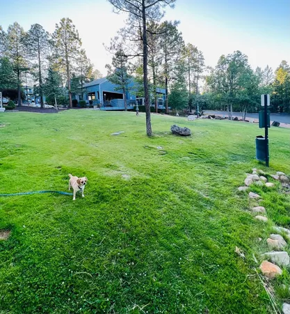 $1,750 | 2600 South White Mountain Road, Show Low, AZ 85901