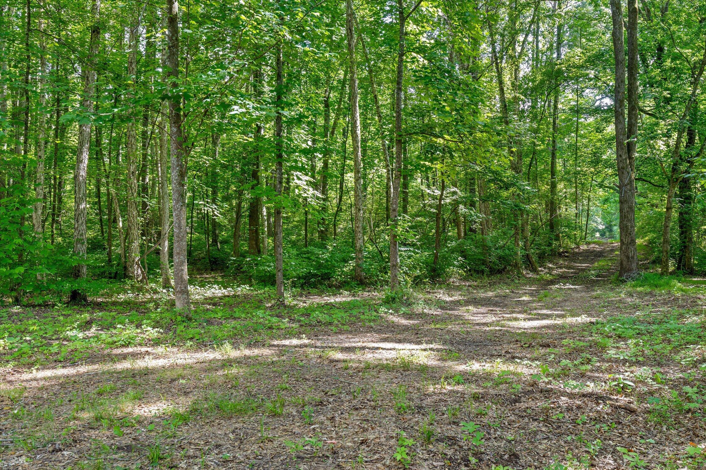 0 Hildabrand Road Ocoee, TN 37361 - Photo 20 of 46 08-Old Federal Rd-1