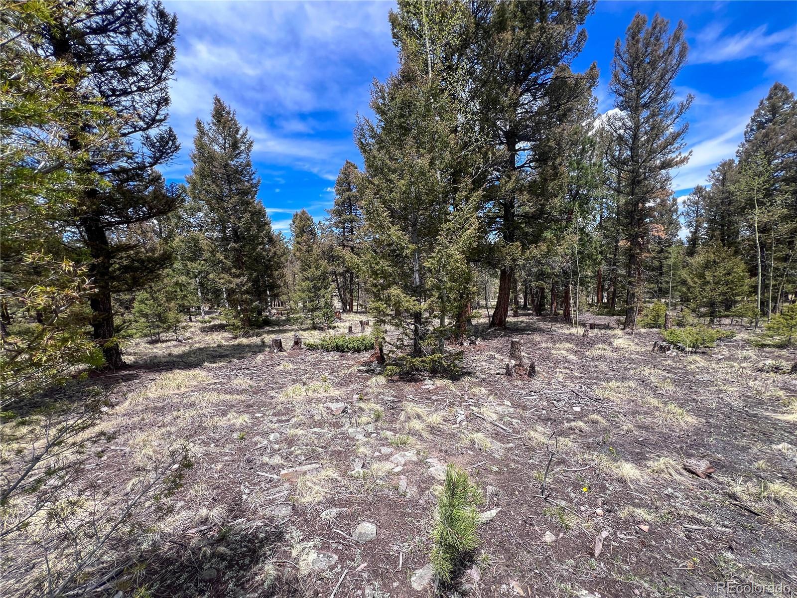 1980 Pitchfork Road Hartsel, CO 80449 - Photo 3 of 4