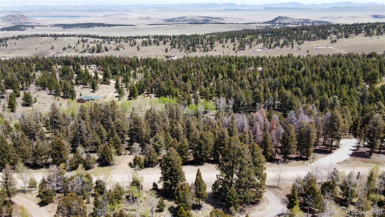 1980 Pitchfork Road Hartsel, CO 80449 - Photo 4 of 4