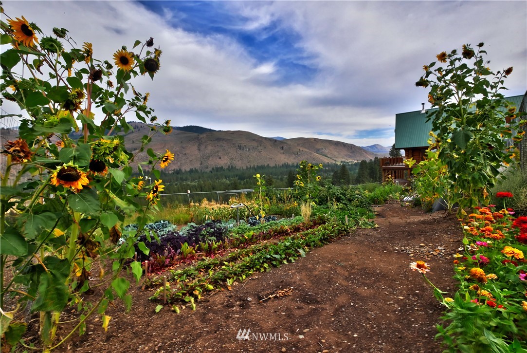 35 Raven Road Winthrop, WA 98862 - Photo 33 of 40 Gallery Image 33