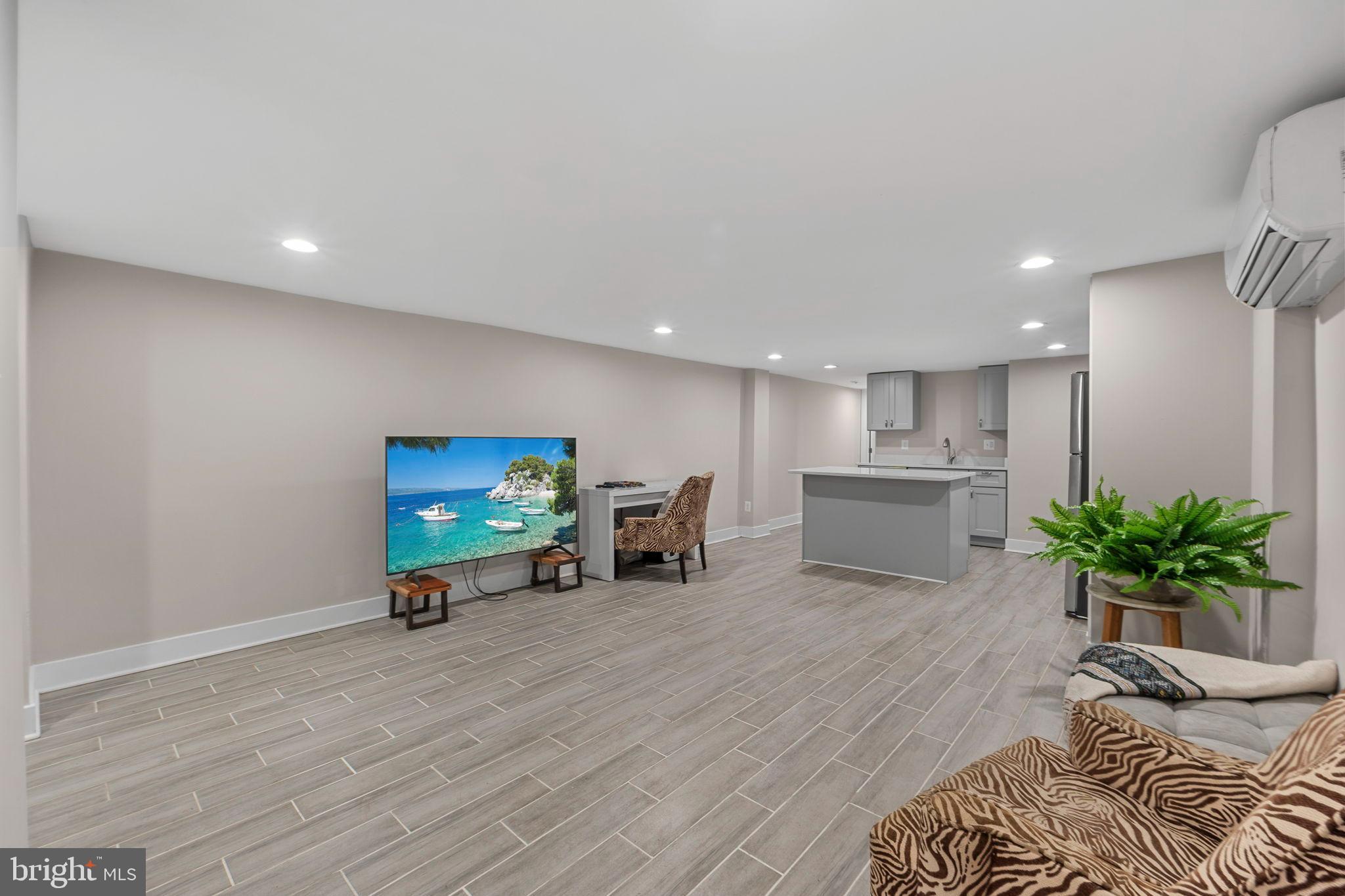 113 R Street Northeast Washington, DC 20002 - Photo 30 of 46 Spacious, modern living area at lower level