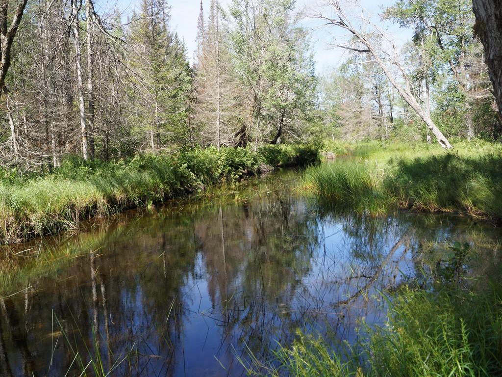 7 Middle Road Cherryfield, ME 04622 - Photo 37 of 41 DSC04663