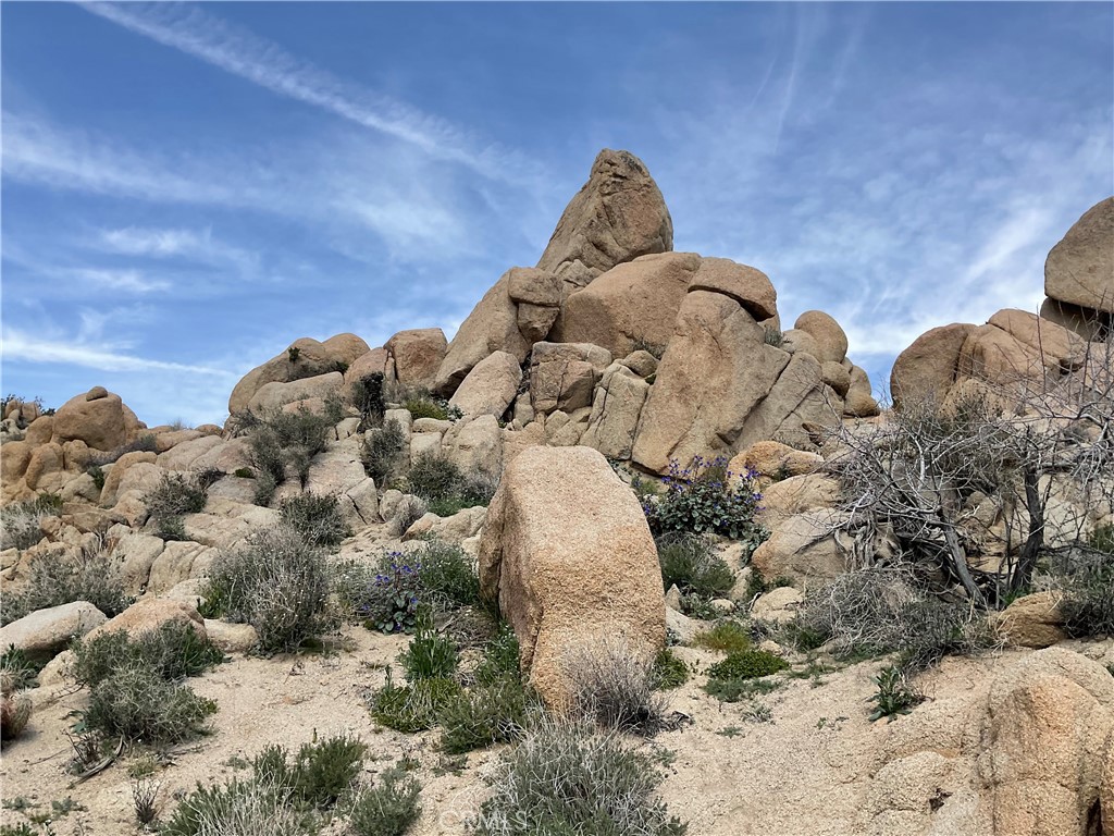 57710 Bandera Road Yucca Valley, CA 92284 - Photo 4 of 37