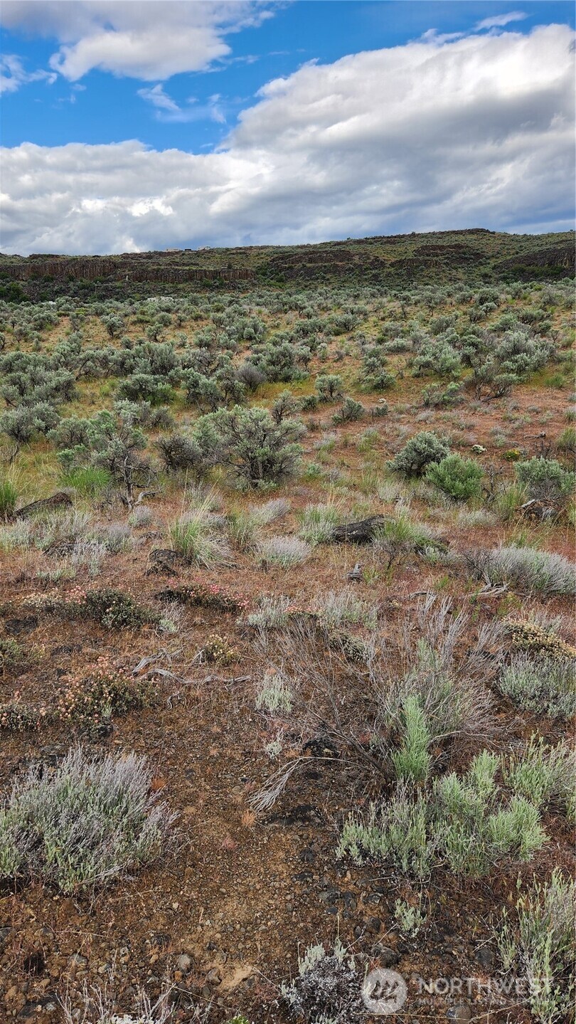 0 Singletree Drive Ephrata, WA 98823 - Photo 11 of 38