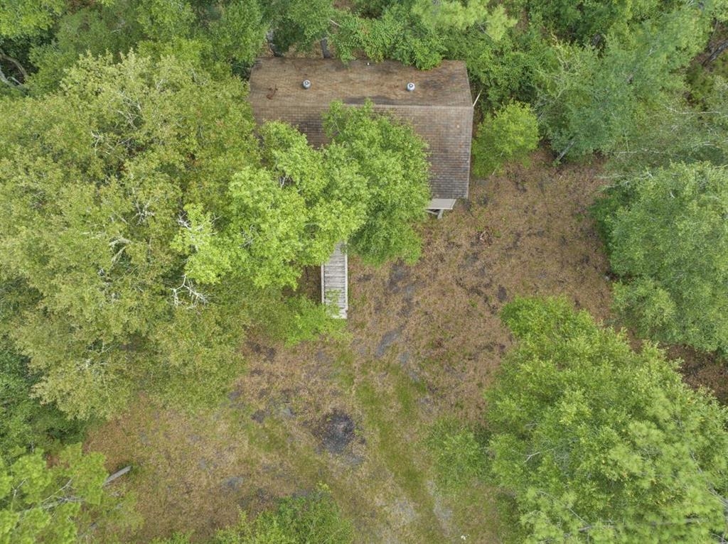 4833 Crooked Road Tallahassee, FL 32310 - Photo 18 of 42 Gallery Image 18