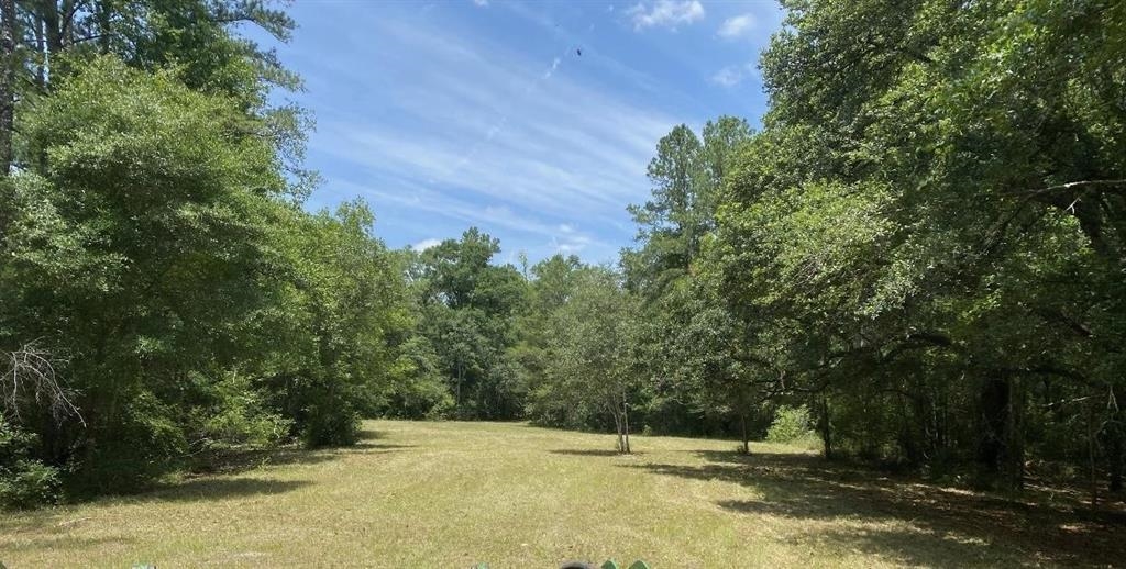 4833 Crooked Road Tallahassee, FL 32310 - Photo 20 of 42 Gallery Image 20