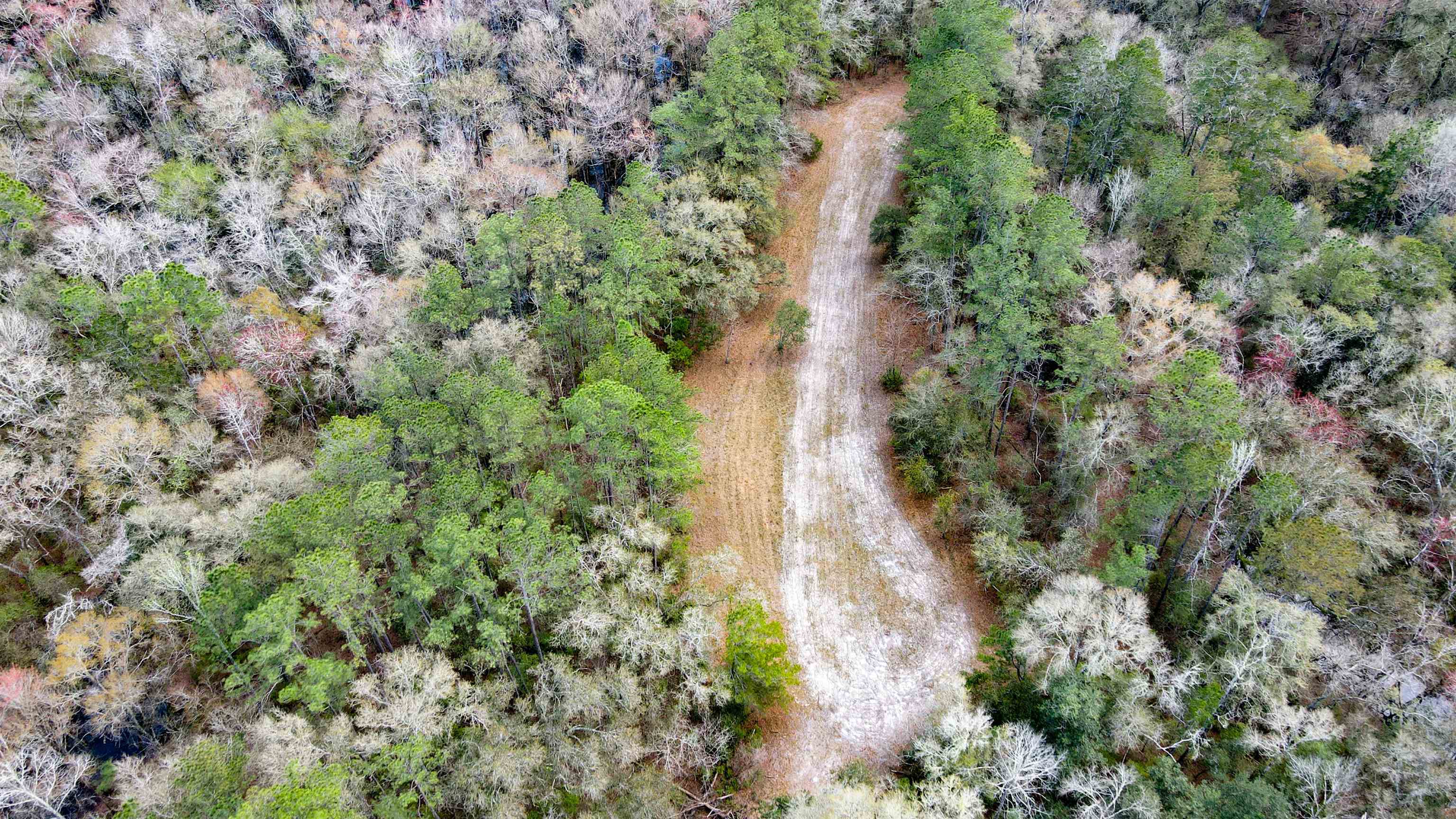 4833 Crooked Road Tallahassee, FL 32310 - Photo 40 of 42 Gallery Image 40