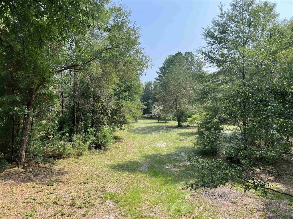 4833 Crooked Road Tallahassee, FL 32310 - Photo 5 of 42 Gallery Image 5