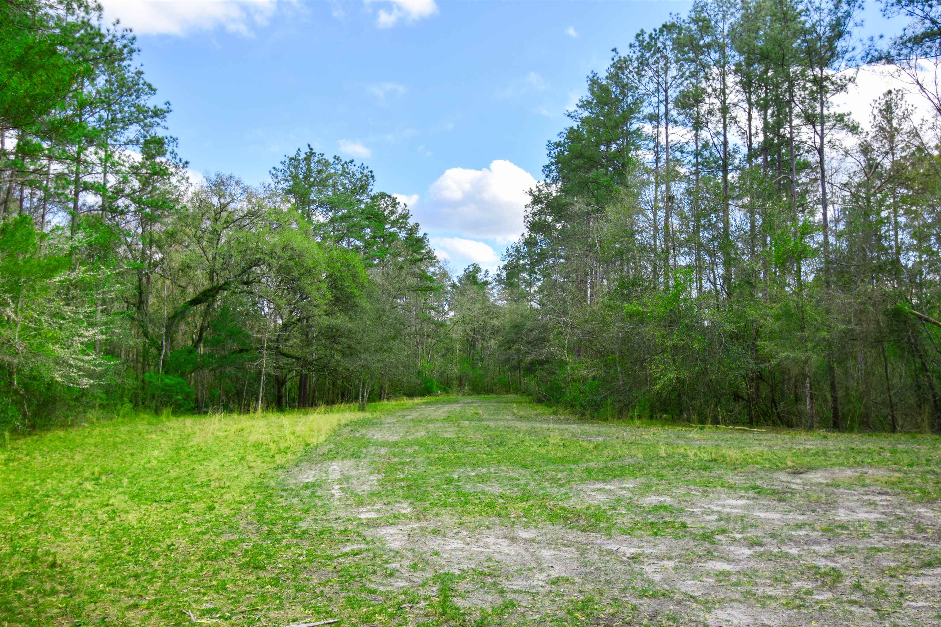 4833 Crooked Road Tallahassee, FL 32310 - Photo 8 of 42 Gallery Image 8