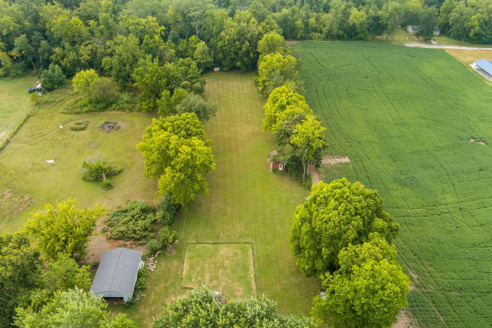 2386 Lefevre Road Troy, OH 45373 - Photo 93 of 102