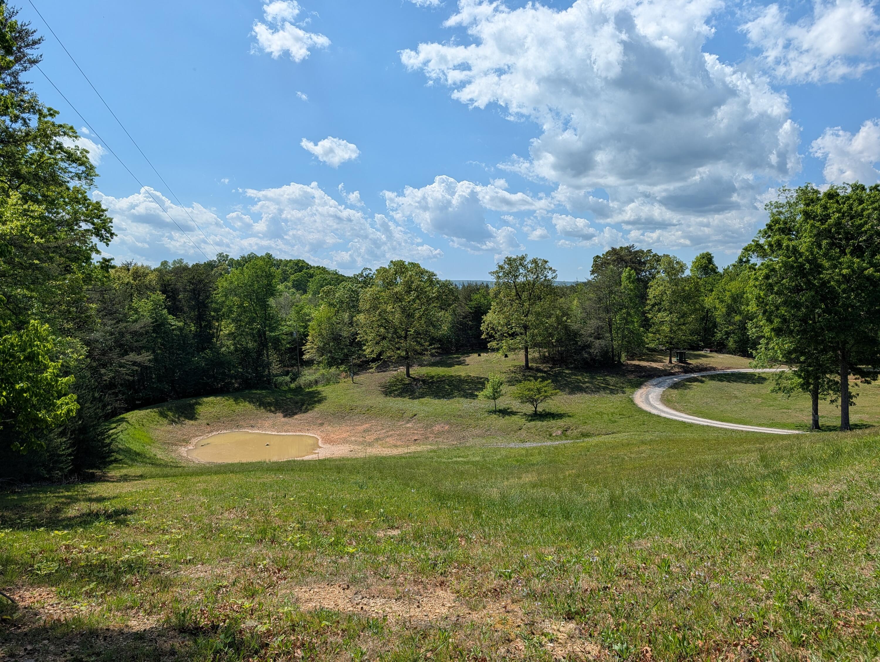 135 Garren Hart Lane Spring City, TN 37381 - Photo 12 of 20 PXL_20260417_193031171