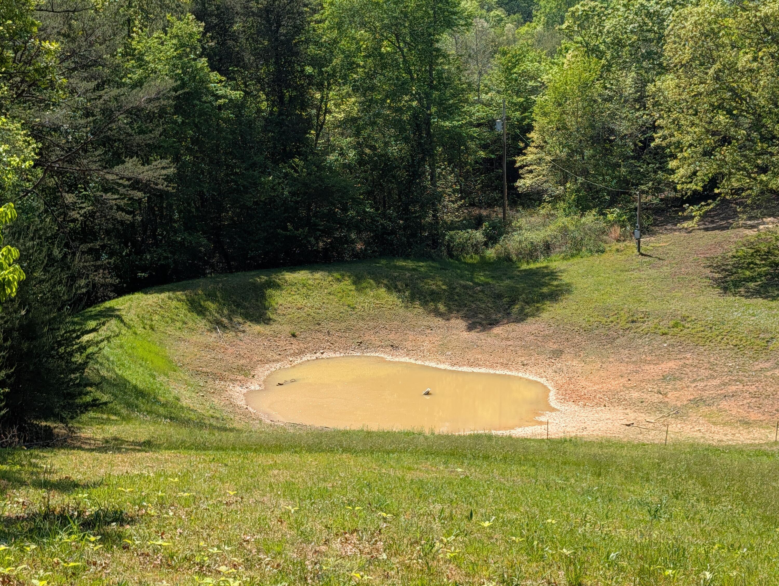 135 Garren Hart Lane Spring City, TN 37381 - Photo 19 of 20 PXL_20260417_193047093