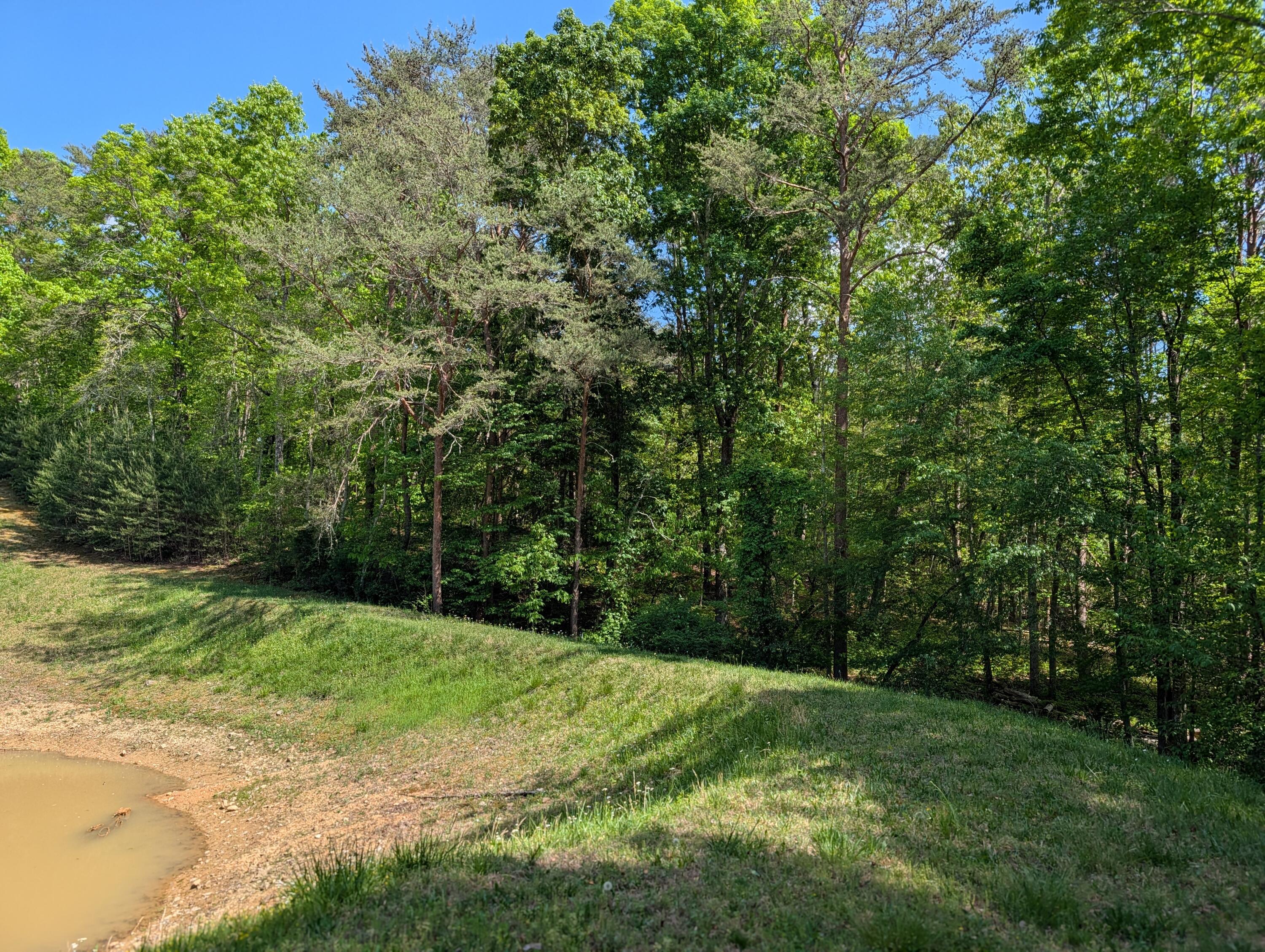 135 Garren Hart Lane Spring City, TN 37381 - Photo 3 of 20 PXL_20260417_193728814.PORTRAIT