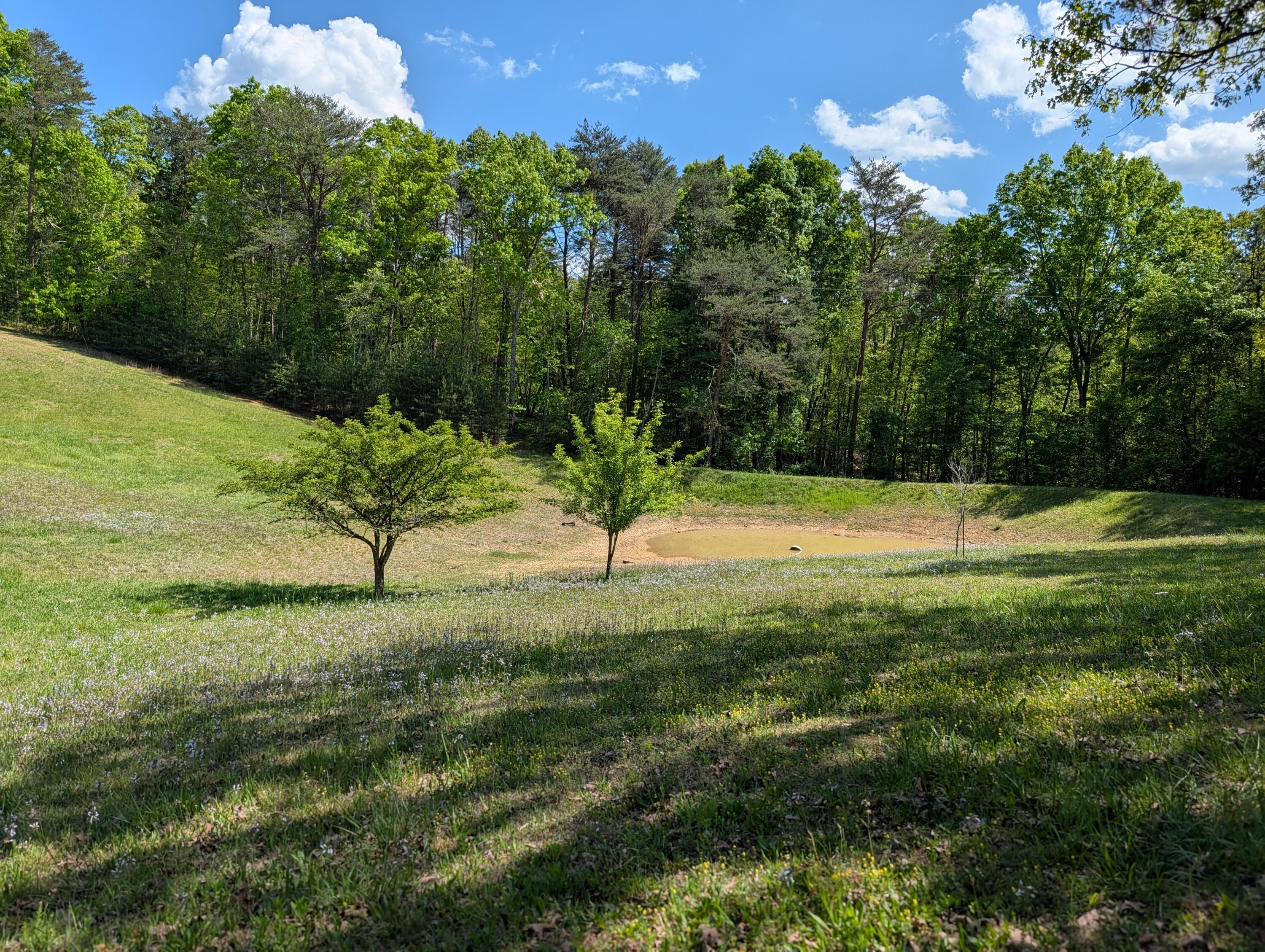 135 Garren Hart Lane Spring City, TN 37381 - Photo 5 of 20 PXL_20260417_193551446.PORTRAIT