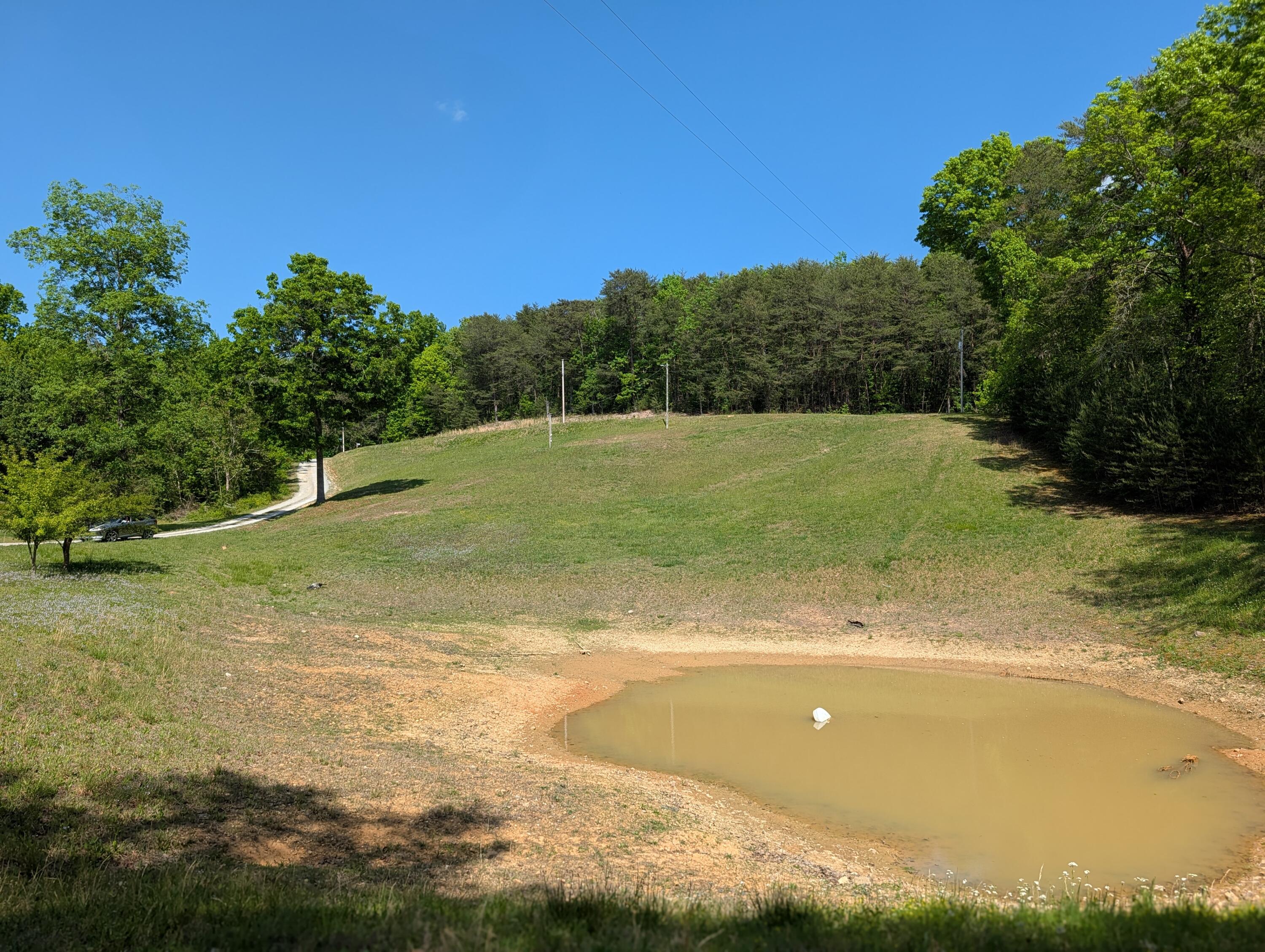 135 Garren Hart Lane Spring City, TN 37381 - Photo 6 of 20 PXL_20260417_193732399.PORTRAIT